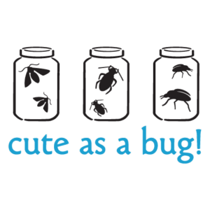 Cute as a Bug Wall Quotes™ Decal