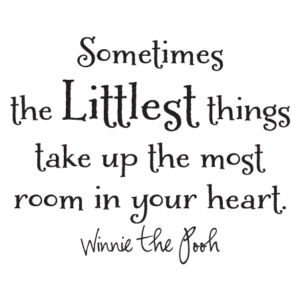 The Littlest Things Wall Quotes™ Decal