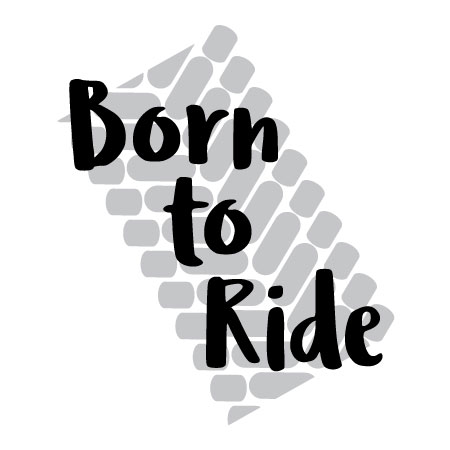 Born to Ride Wall Quotes™ Decal