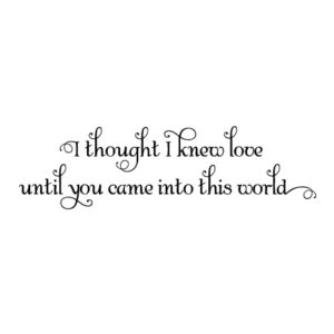I Thought I Knew Love Wall Quotes™ Decal
