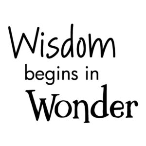 Wisdom Begins In Wonder Wall Quotes™ Decal