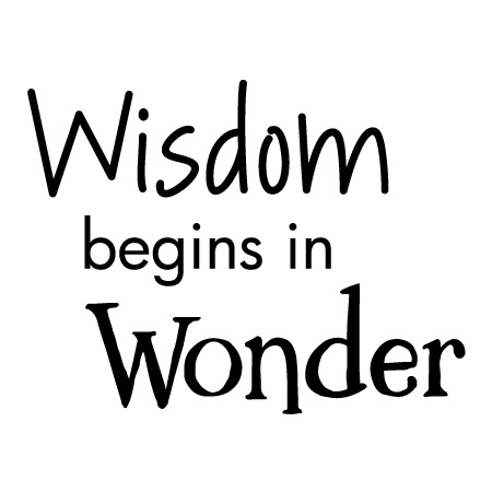 Wisdom Begins In Wonder Wall Quotes™ Decal