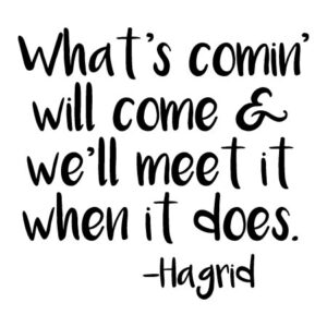What's Comin' Will Come Wall Quotes™ Decal