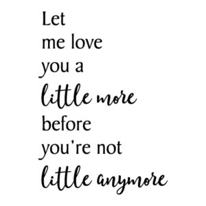 Love You a Little More Wall Quotes™ Decal