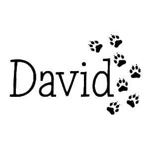 Personalized Tracks Wall Quotes™ Decal