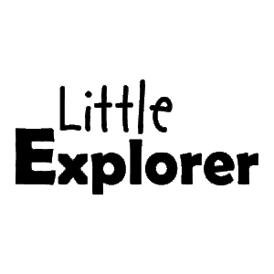 Little Explorer Wall Quotes™ Decal