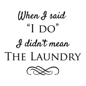 I Didn't Mean Laundry Wall Quotes™ Decal
