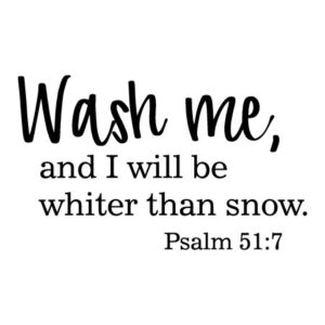 Wash Me Wall Quotes™ Decal