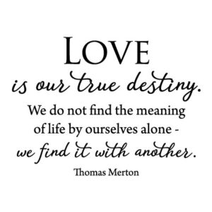 Love Is Our True Destiny Wall Quotes™ Decal