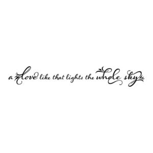 Love Like That Wall Quotes™ Decal
