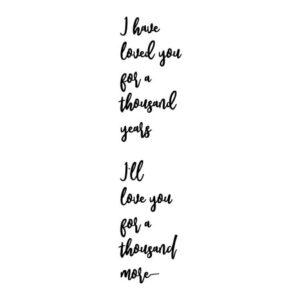 Loved You For A Thousand Years Wall Quotes™ Decal