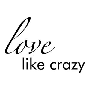 Love Like Crazy Wall Quotes™ Decal