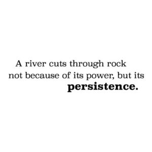 Not Power But Persistence Wall Quotes™ Decal