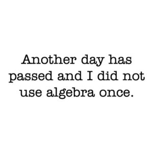 Did Not Use Algebra Wall Quotes™ Decal