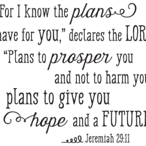 I Know The Plans I Have For You Wall Quotes™ Decal