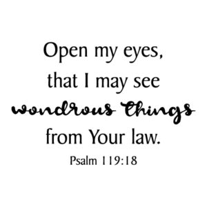 Wondrous Things Wall Quotes™