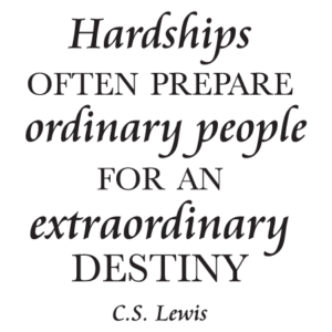 Extraordinary Destiny Wall Quotes™ Decal