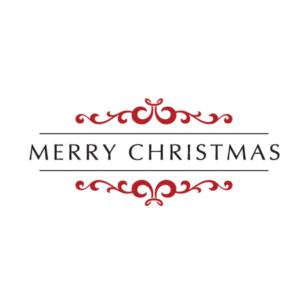 Merry Christmas Embellished Wall Quotes™ Decal