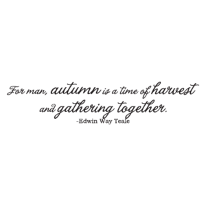 Autumn Gather Together Wall Quotes™ Decal