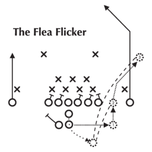 Flea Flicker Diagram Wall Quotes™ Decal