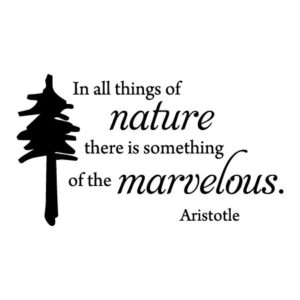 Something of the Marvelous Wall Quotes™ Decal