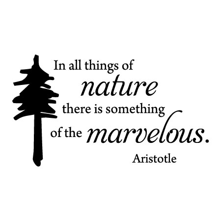 Something of the Marvelous Wall Quotes™ Decal